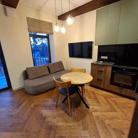 Viktor Nemuno House Каунас