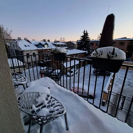 Апартаменты Viktor Nemuno House *