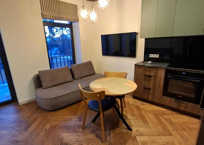 Viktor Nemuno House Каунас