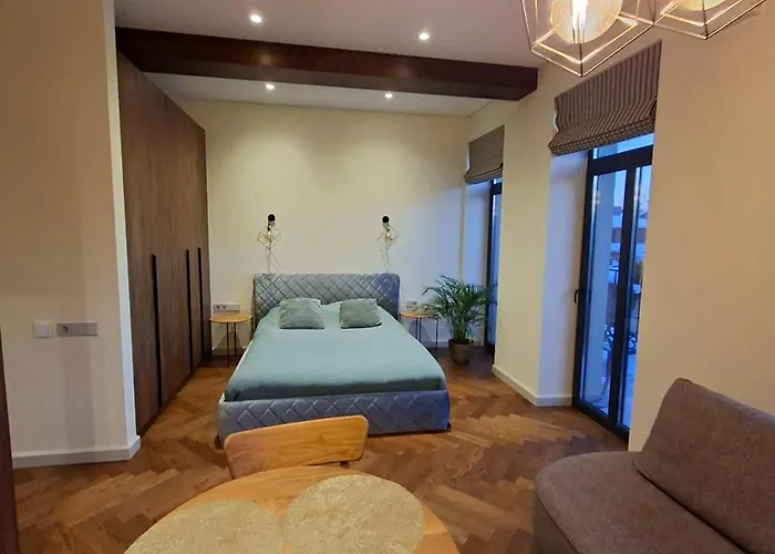 Viktor Nemuno House Апартаменты *