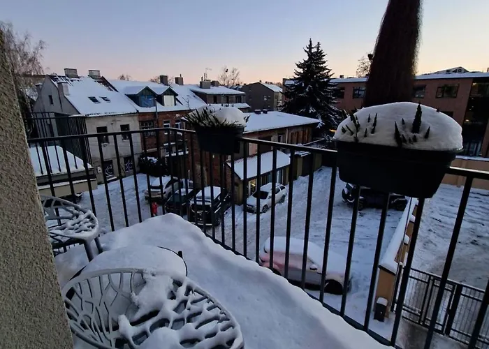 Апартаменты Viktor Nemuno House *